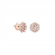 DAMIANI 18K ROSE GOLD DIAMOND MIMOSA EARRINGS DIA-0.67 GLD-4.15. 