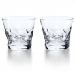 set of 2 BELUGA tumblers #2.