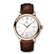 Portofino Automatic Edition 