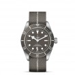 TUDOR Black Bay 58 Watch - M79010SG-0002 at William Barthman