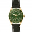 TUDOR Black Bay 58 - M79018V-0001 at William Barthman