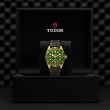 TUDOR Black Bay 58 - M79018V-0001 at William Barthman