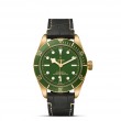 TUDOR Black Bay 58 - M79018V-0001 at William Barthman