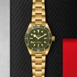 TUDOR Black Bay 58 - M79018V-0006 at William Barthman