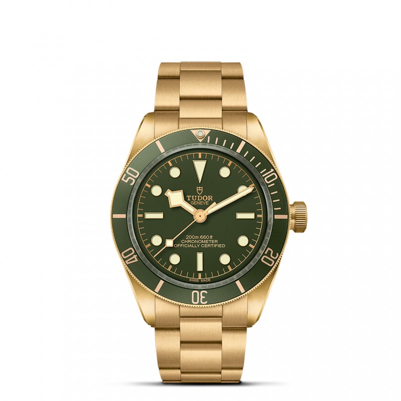 TUDOR Black Bay 58 - M79018V-0006 at William Barthman