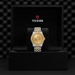 TUDOR Black Bay 31/36/39/41 S&G Watch - M79673-0007 at William Barthman