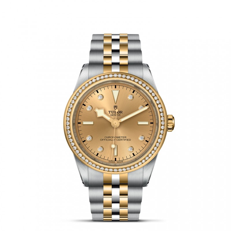 TUDOR Black Bay 31/36/39/41 S&G Watch - M79673-0007 at William Barthman