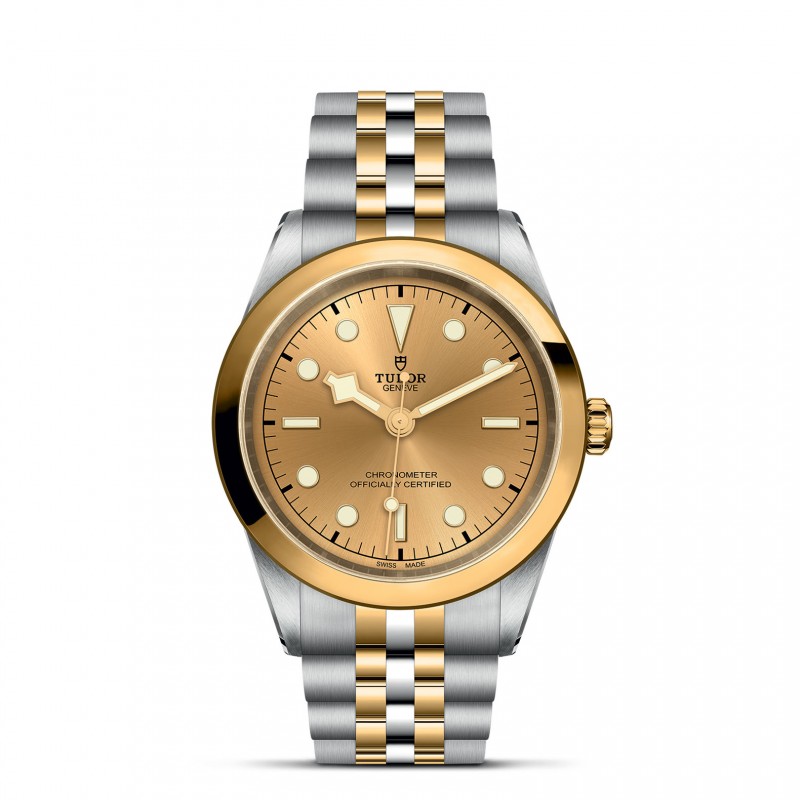 TUDOR Black Bay 31/36/39/41 S&G Watch - M79683-0005 at William Barthman