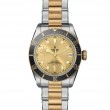 TUDOR Black Bay Watch - M79733N-0004 at William Barthman