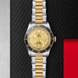 TUDOR Black Bay Watch - M79733N-0004 at William Barthman