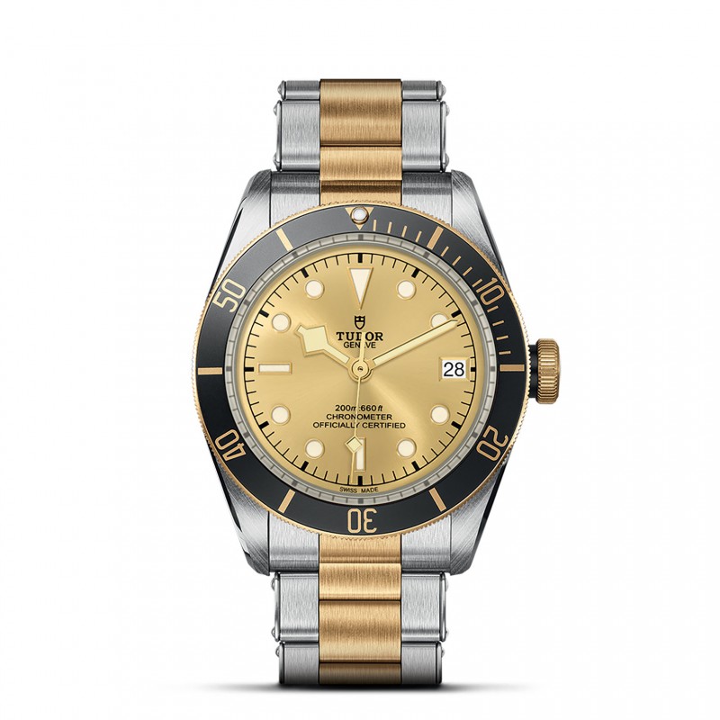TUDOR Black Bay Watch - M79733N-0004 at William Barthman
