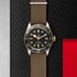 TUDOR Black Bay Watch - M79733N-0005 at William Barthman