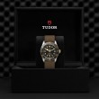 TUDOR Black Bay Watch - M79733N-0005 at William Barthman