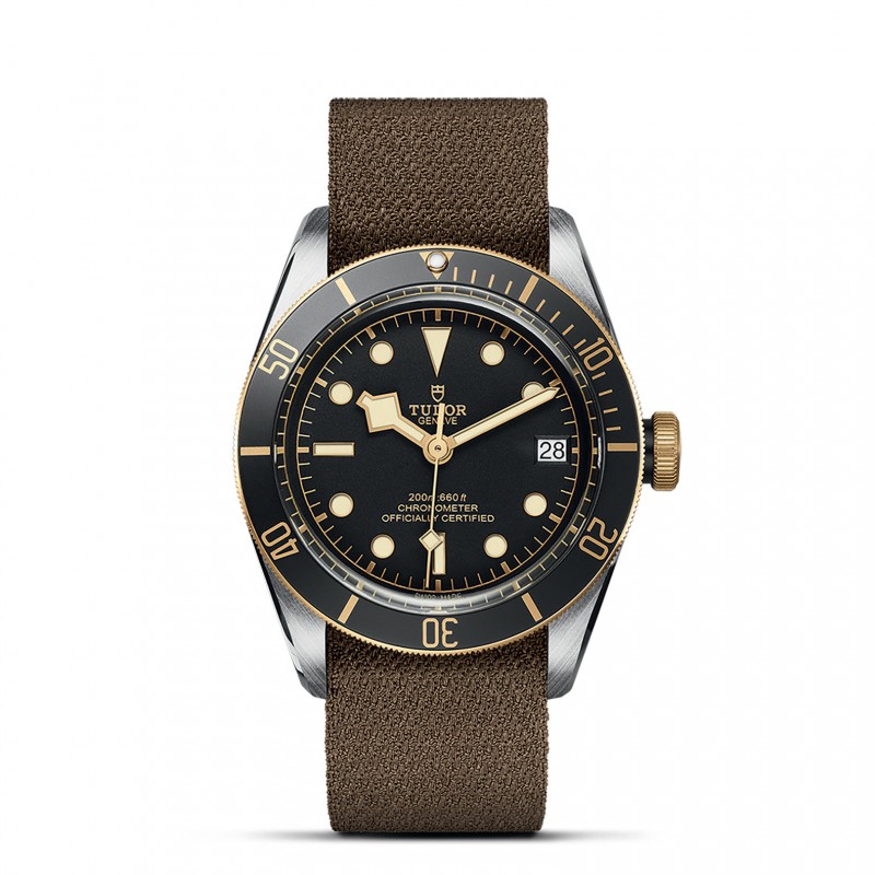 TUDOR Black Bay Watch - M79733N-0005 at William Barthman