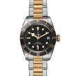 TUDOR Black Bay Watch - M79733N-0008 at William Barthman