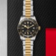 TUDOR Black Bay Watch - M79733N-0008 at William Barthman