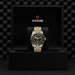 TUDOR Black Bay Watch - M79733N-0008 at William Barthman