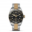 TUDOR Black Bay Watch - M79733N-0008 at William Barthman