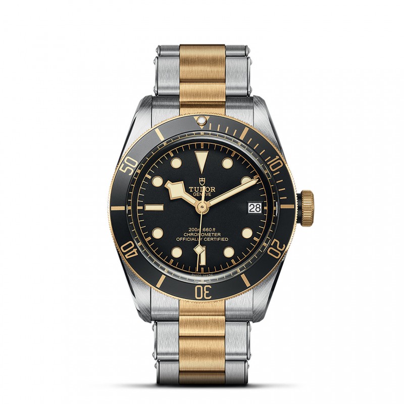 TUDOR Black Bay Watch - M79733N-0008 at William Barthman